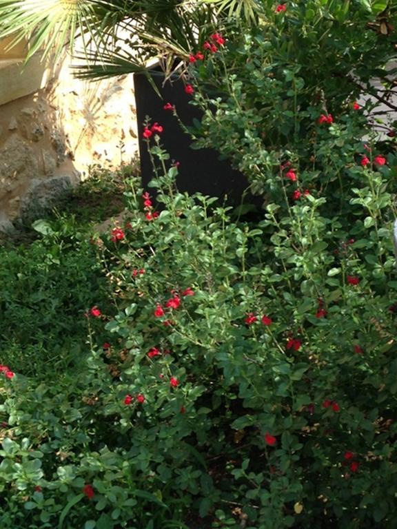 לינה וארוחת בוקר Lalinde Les Camelias מראה חיצוני תמונה